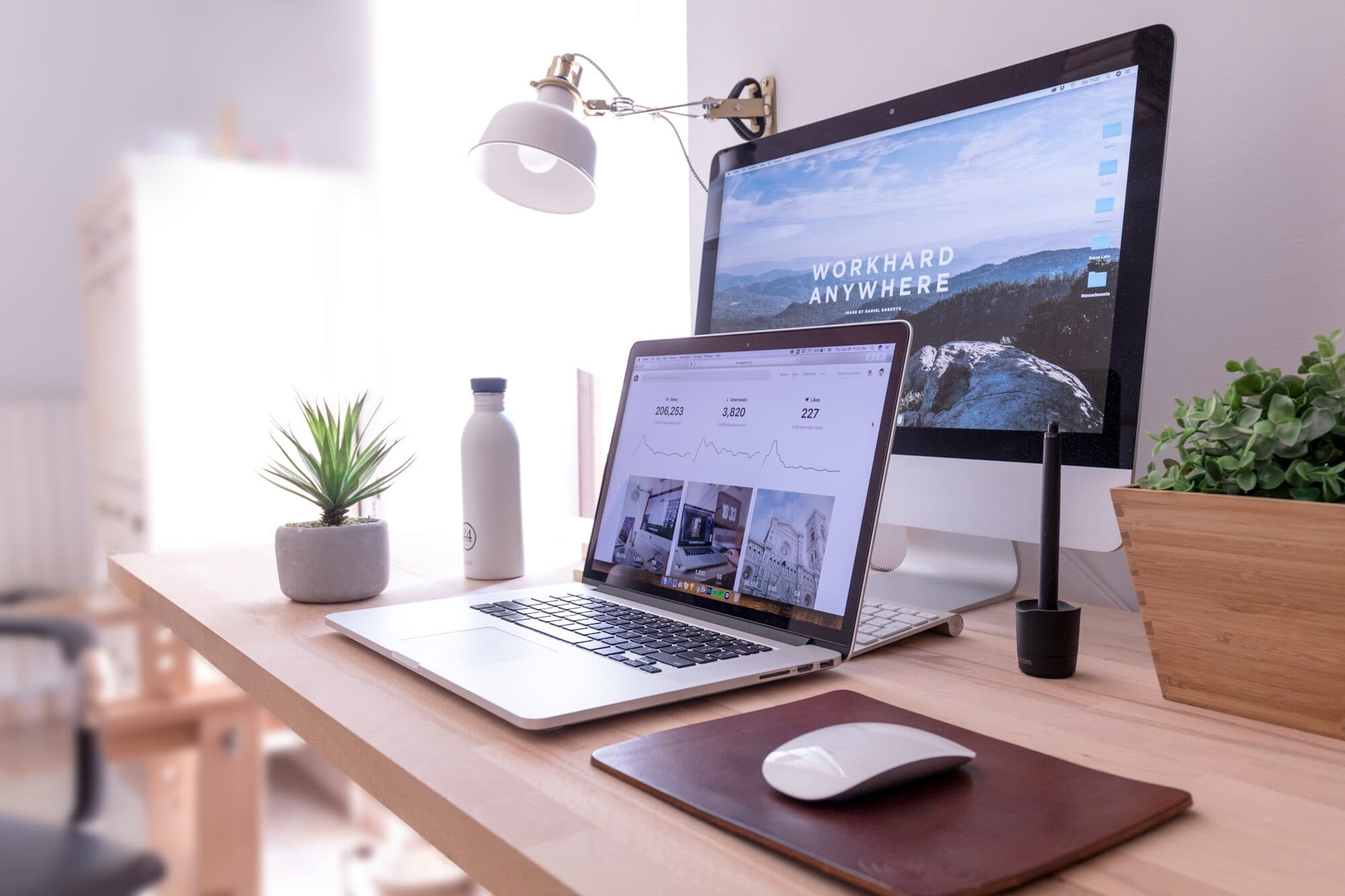 Minimal solo-founder workspace with laptop, plant and a screen reading WORK HARD ANYWHERE